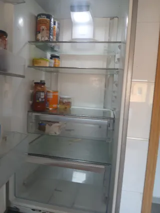 Nevera con congelador Electro Lux