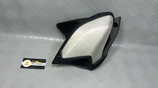 CARENADO KAWASAKI Z900 (2025)