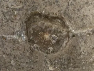 Boya marina de aluminio.