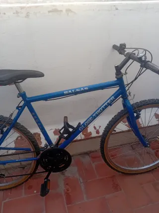 Bicicleta Montaña BTT
