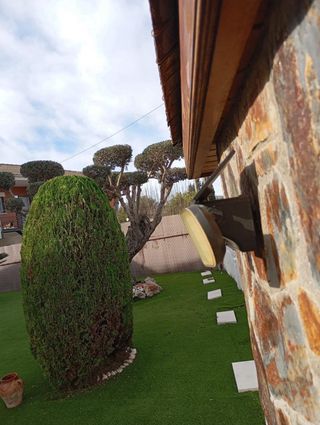 Servicios de poda y tala de arboles