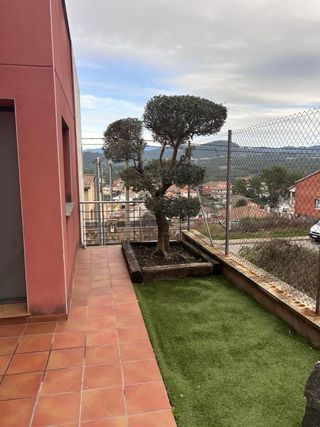 Servicios de poda y tala de arboles