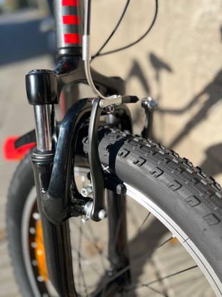 Bicicleta TREK Precaliber 20