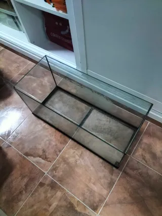 Pecera de cristal, se limpia y como nueva