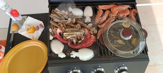 Alquiler parcela para celebrar tu evento?