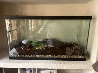 Acuario de cristal negro