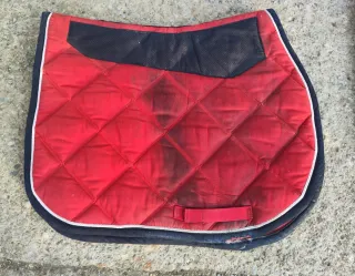 2 Conjuntos PARA CABALLO SUDADEROS PROTECTORES MAS