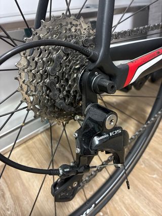 Bicicleta de carbono Specialized Roubaix 61 xL