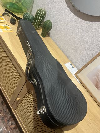 Violín con funda y arco