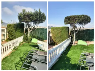 Jardinero Servicios de  poda - árboles y setos
