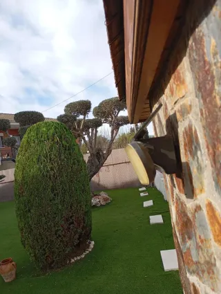 Jardinero Servicios de  poda - árboles y setos
