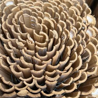 Caña Partida Natural 1m, 1.5m, 2m x 5m de largo