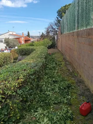 Servicios de jardinería y poda