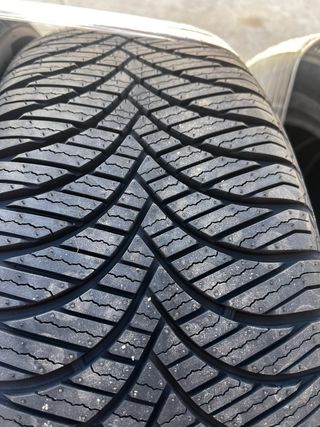 Neumáticos 225/55R18 Goodride Elite