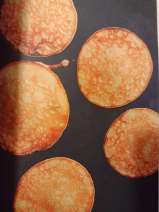 Norway's Coastal Kitchen