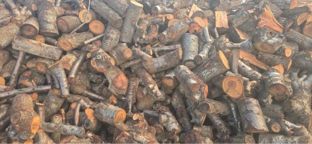 Legna di carrasca 170€/tonnellata