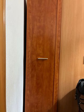 Armario 2 puertas+ armario 1 puerta (100x57x235)