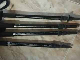 Bastones de trekking Forclaz 100