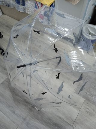 Paraguas transparente acuático