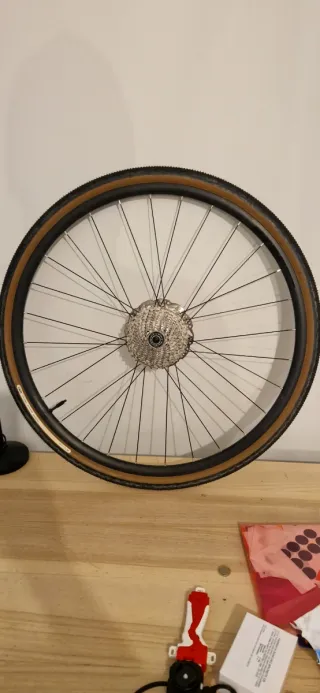 Cannondale Synapse Carbon 2 RL 2024 talla 56