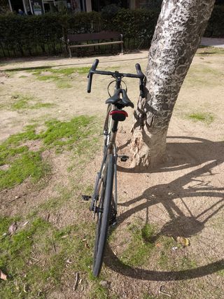 Cannondale Synapse Carbon 2 RL 2024 talla 56