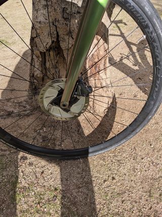 Cannondale Synapse Carbon 2 RL 2024 talla 56