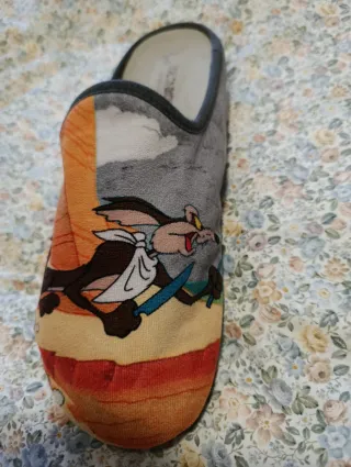 Zapatillas casa