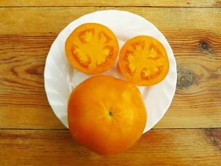 Semillas de tomate “Monástico” 10 unidades