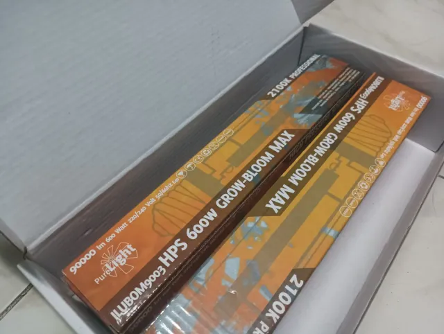 Kit Iluminación 600w Balastros Reflector