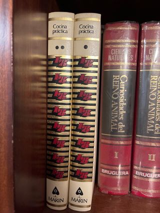 libros de cocina:cocina práctica