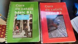 Curso catalán A1 y B1