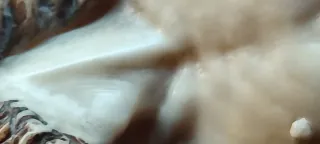 Cristo tallado en marco plata