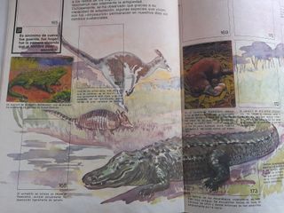 Album El libro de las adivinanzas 2 Bimbo 1975