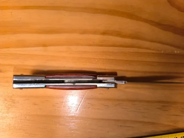 Lama da barba in acciaio inossidabile