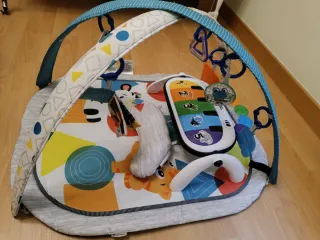 Gimnasio Bebé Baby Einstein