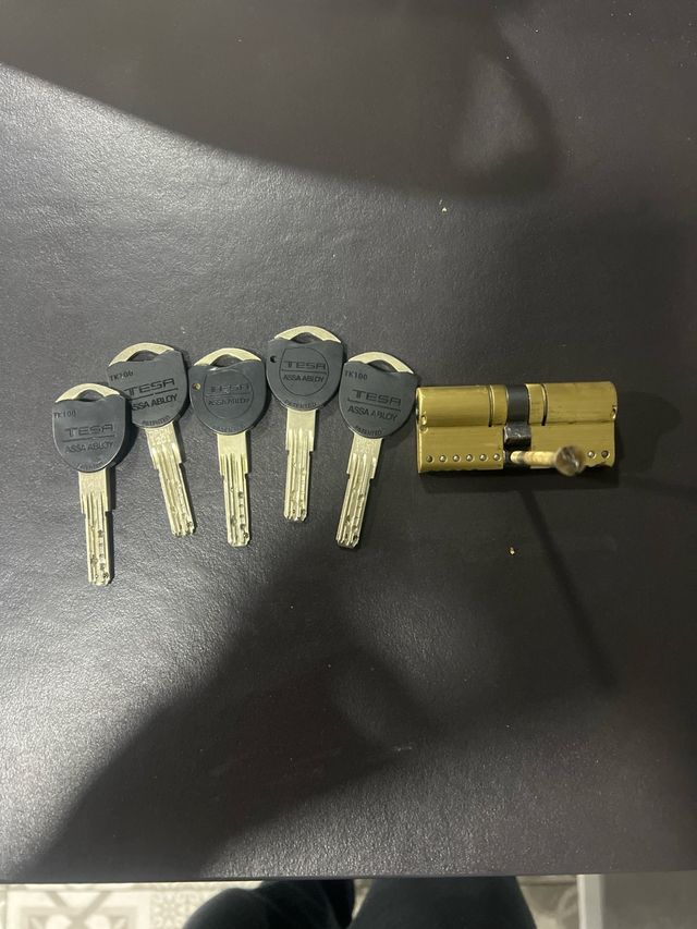 Cilindro Tesa Alta Seguridad + 5 Llaves