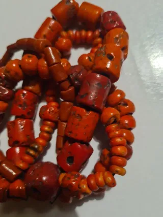 Corallo bambù naturale