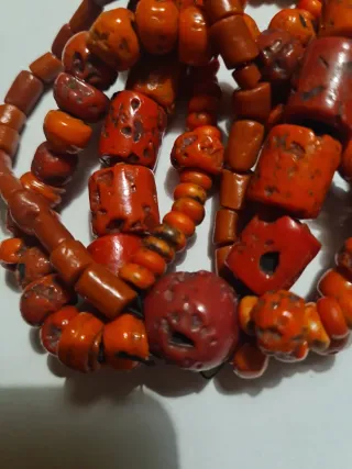 Corallo bambù naturale