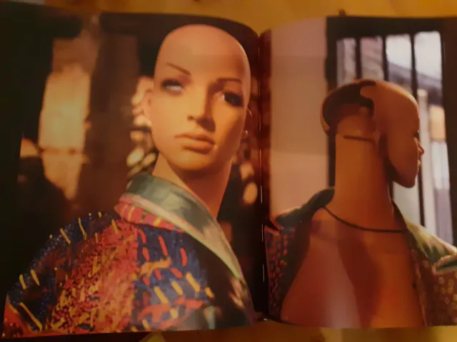 Arlinda Mestre, dedicado, Art Photography