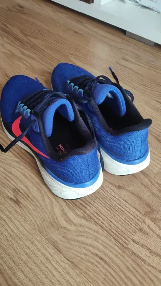 Zapatillas Nike Pegasus 41