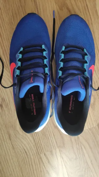 Zapatillas Nike Pegasus 41