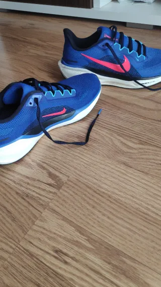 Zapatillas Nike Pegasus 41