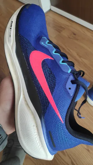 Zapatillas Nike Pegasus 41