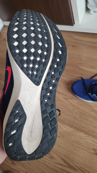 Zapatillas Nike Pegasus 41