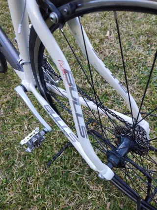 Bicicleta Bulls