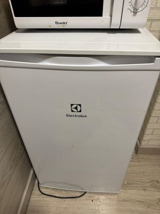 Frigorífico pequeño Electrolux
