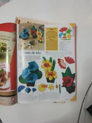 2 REVISTAS DE LABORES DEL HOGAR