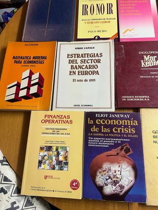 Lote de 13 libros de Economía y Empresa por 6,99