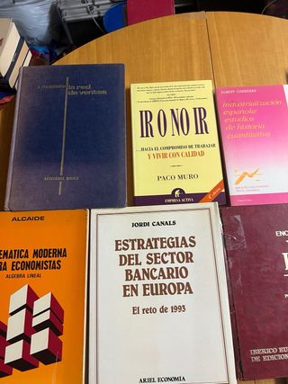 Lote de 13 libros de Economía y Empresa por 6,99