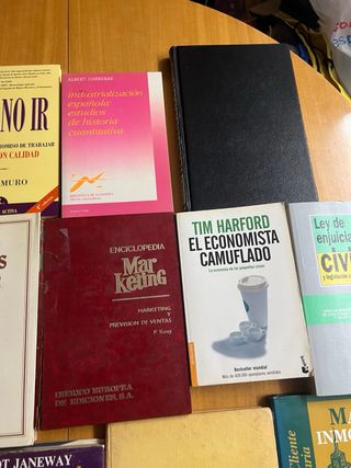 Lote de 13 libros de Economía y Empresa por 6,99